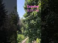 О сём надлежало бы нам говорить много...