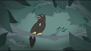 O'o: The Last Voice of Kauai - Animated Short Film 2022