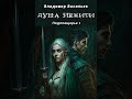 Аудиокнига "Душа нежити - Васильев Владимир"