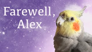 Farewell, Alex