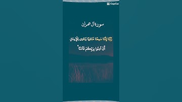 سورة آل عمران / #اكسبلور_فولو_ضيفوني #اكسبلور_فولو #quran #تفاعلو_حبايبي #القرآن_الكريم
