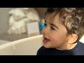 ادومي هيل و فستقه 