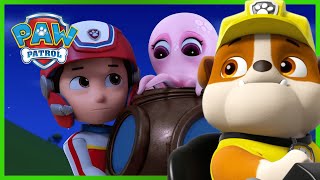 Rubble And Chase Help A Squid Get Back To The Ocean! - Paw Patrol - Cartoons For Kids