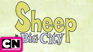 Theme Song | Sheep in the Big City | Cartoon Network