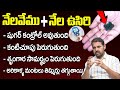 నేలవేము + నేల ఉసిరి తో వీటన్నిటికి చెక్ || Nelavemu,Nela Usiri uses in telugu | Dr Dilip | iD Health