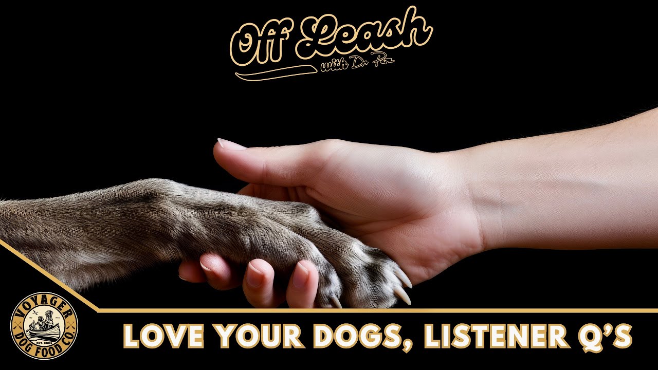 Love Your Dogs, Listener Questions