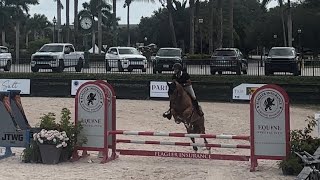 Casper - 7th 0.95m Training Jumpers Round 1 + Jump-Off - ESP June I 2024