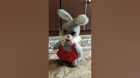 Танцующий Степашка