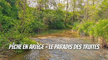 Où pêcher la truite en Ariège ?