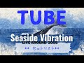 TUBE|2005ssv ~Seaside Vibration~ *セトリ*