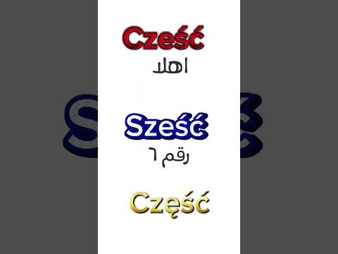 ٣ كلمات في البولندي لازم تعرف تعلم الفرق ما بينهم
