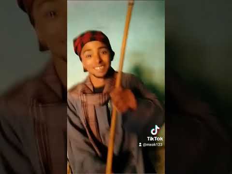 الصعايده اهم حضروا