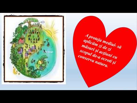 Video: Explorarea Resurselor Naturale Cu Copiii