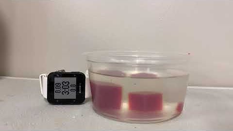 Time Lapse on Surface Area and Cell Size Lab