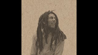 Video thumbnail of "Bob Marley - Babylon System"