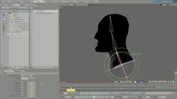 Messiah Studio - Effectors Bones And Weight Draw Mode