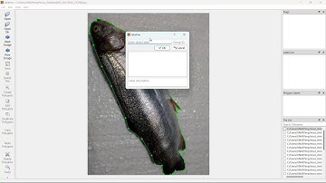 Install Labelme & Anaconda on Windows 11 - Examples to Create Labels in a Images Folder