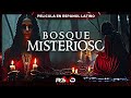 Bosque misterioso  estreno 2023  pelicula completa de suspenso en espanol latino