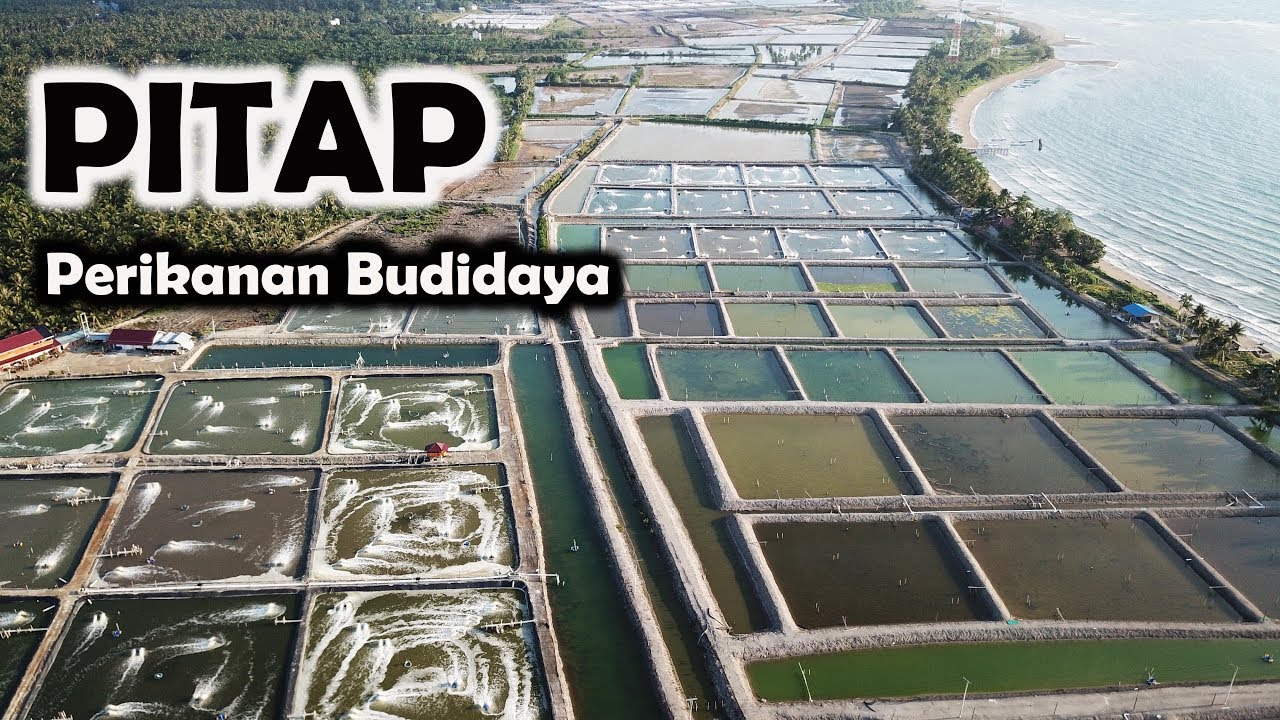 Pengelolaan Irigasi Tambak Perikanan Budidaya 