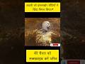 Aadamee Zinda Nigal Liya - The Unbelievable Science of Stomach Acid #shorts #movie #shortsviral