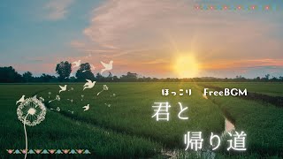 【作業用BGM】ほっこりマリンバ/懐かしい帰り道/夕方/Free BGM【1時間耐久】