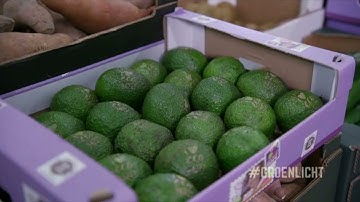 SPCEx_2023_Week_5_2_7_The_future_of_natural_branding-video