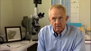 The Origin of HIV Aids The best documentary Channel 4
