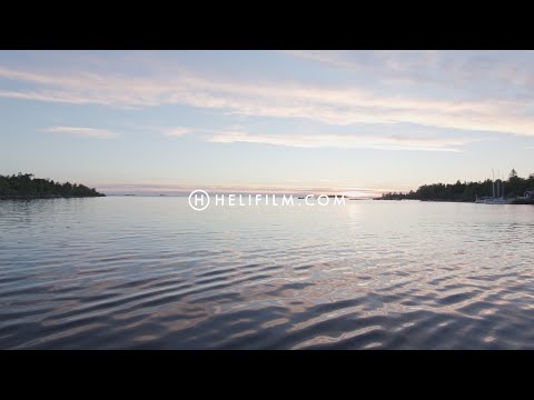 Video: Sjølake: egenskaper, vitenskapelig navn og kommersiell verdi