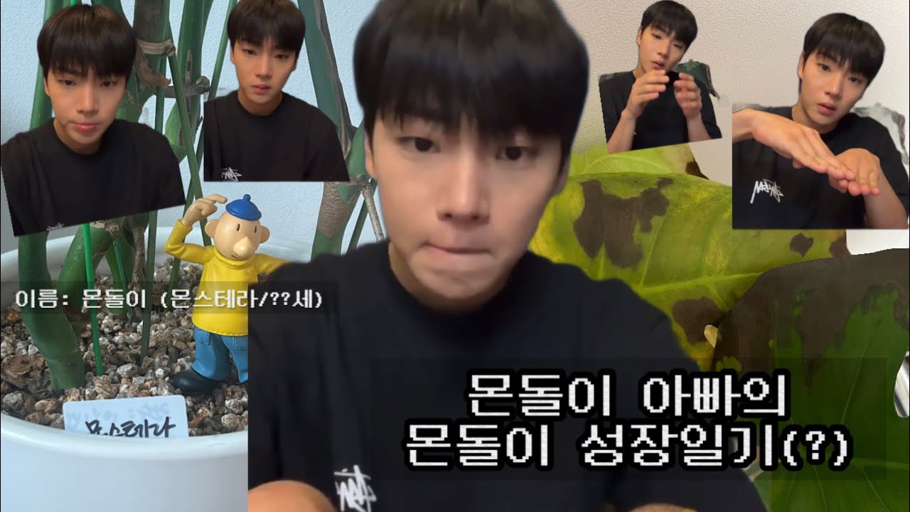 [온앤오프/이션] 몬돌이 아빠의 몬돌이 성장일기(?)...