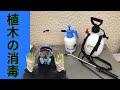 (初心者向け)植木の消毒について簡単に説明します!(字幕対応)