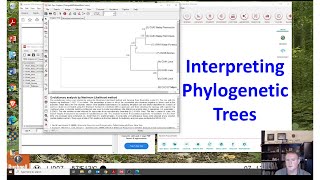 Interpreting phylogenetic trees