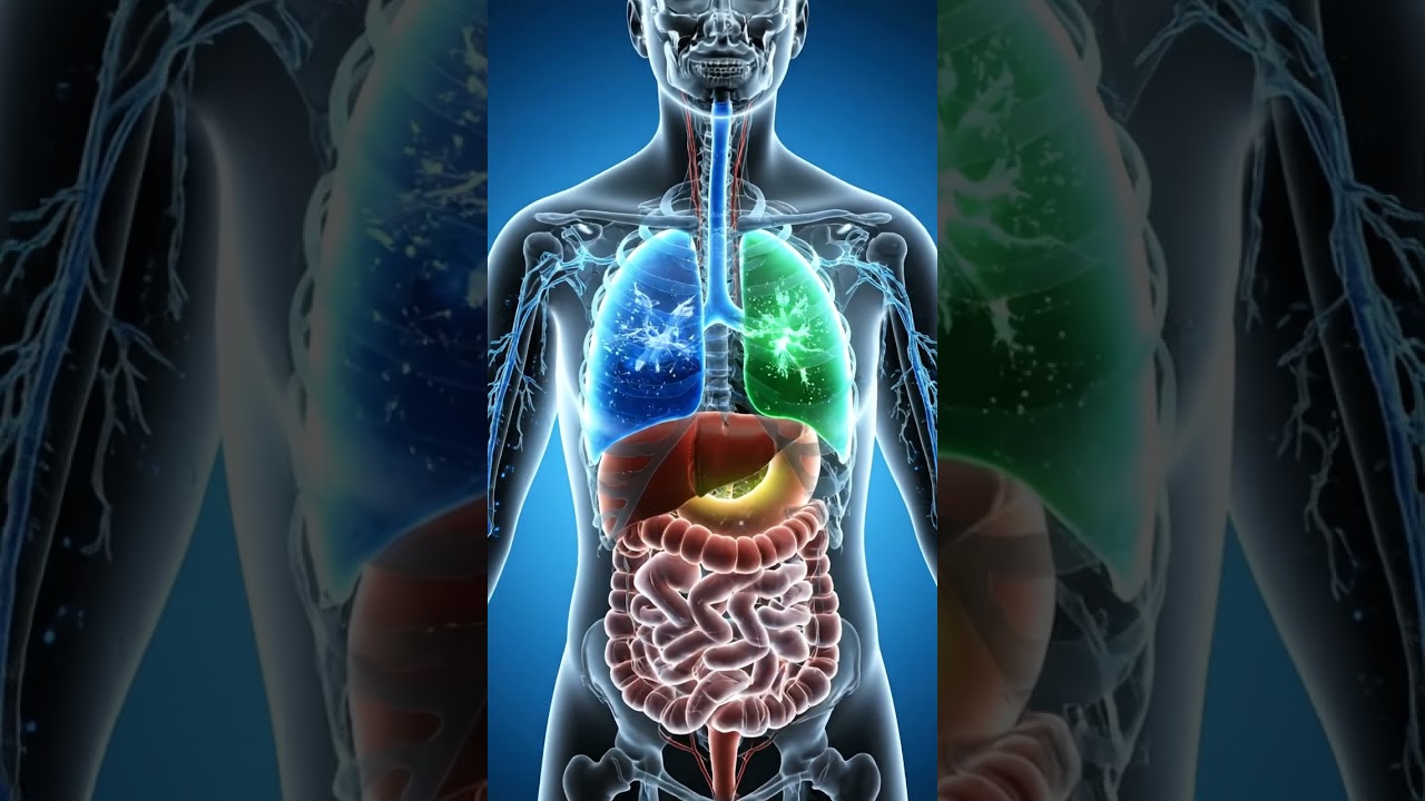 How Garlic Affects Your Stomach & Digestive System 🧄💥