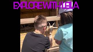 Explore with Leila - petting zoo. #learnandexplorewithleila #pets #zoo #animals #shorts