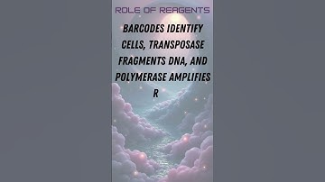 10x Genomics Single Cell Multiome