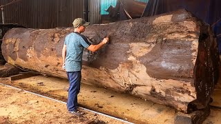 Giant Precious Trees and Amazing and Dangerous Woodworking Machines