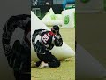 BM United Breakout!  #paintball #infamouspaintball