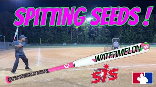 Batte De Softball Worth Legit Watermelon 2024 - XL 25 Oz - USSSA - Neuf Sous Blister