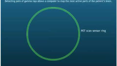 Pair Production & Annihilation