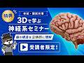 神経系セミナー大型アップデート（3Dで学ぶ脳の構造）