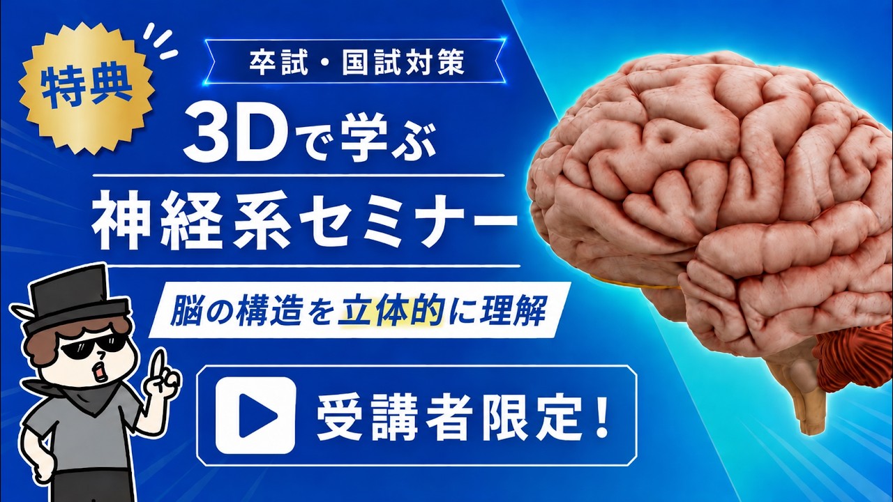 神経系セミナー大型アップデート（3Dで学ぶ脳の構造）