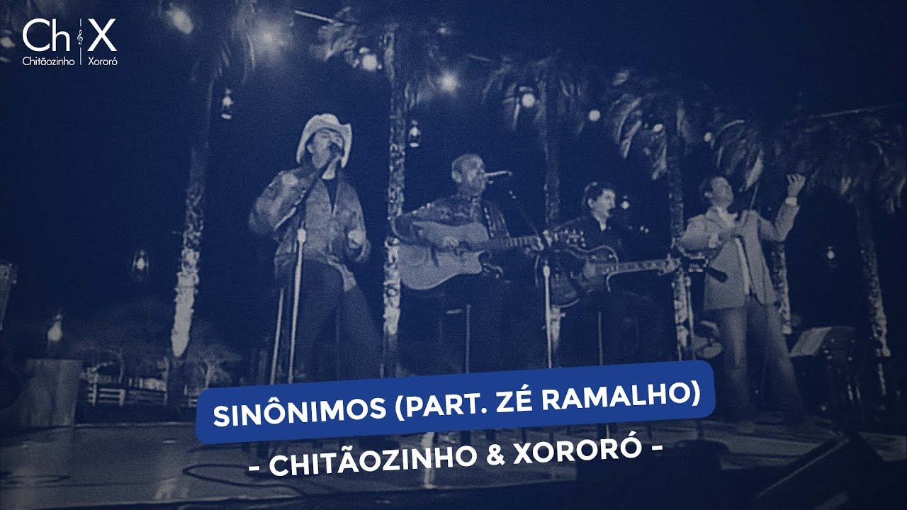 Sinônimos': Música quase foi de Zezé e Luciano, mas virou hit de novelas  com Chitãozinho, Xororó e até Ana Castela, Música