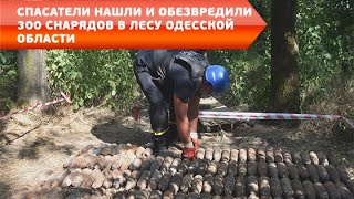 Спасатели нашли и обезвредили 300 снарядов в лесу Одесской области