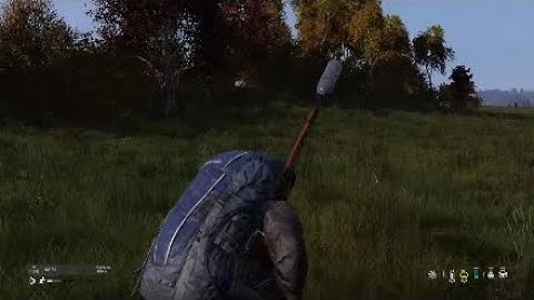 Always confirm your kills Dayz LA0015