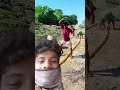 #construction #satisfying #funny #amazing #excavator