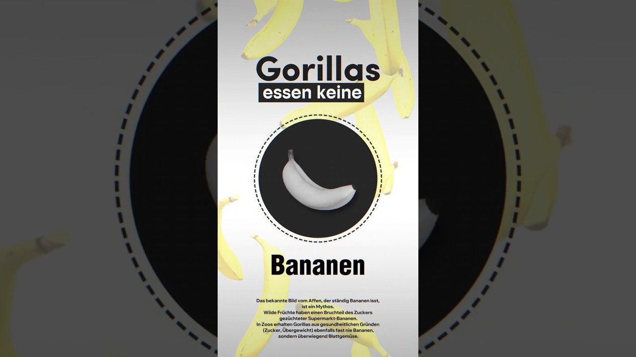 Gorillas essen keine Bananen!!!