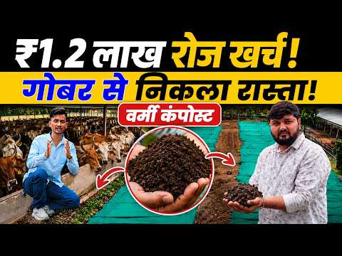 950+ गायों की सेवा, ₹1.2 लाख रोज खर्च! अब गोबर से बनेगा सहारा || Vermicompost Business in india