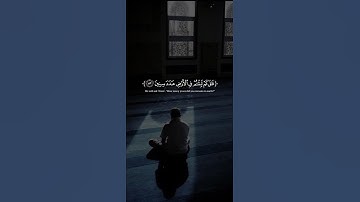 قران كريم بصوت جميل جدا 😴❤️ القارئ إسلام صبحي