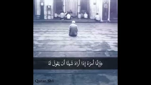 سورة [يسٓ] ﴿إِنَّما أَمرُهُ إِذا أَرادَ شَيئًا أن يَقول لَه كُن فَيَكونُ﴾  بصوت القارئ:ماهر المعيقلي