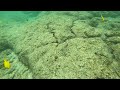 Kona Hawaii - Two Step Snorkeling Landscape (August 2021)