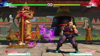 Bison reset